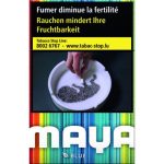 Cartouche Maya Bleue