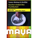 Cartouche Maya Jaune