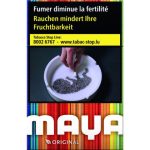 Cartouche Maya Original