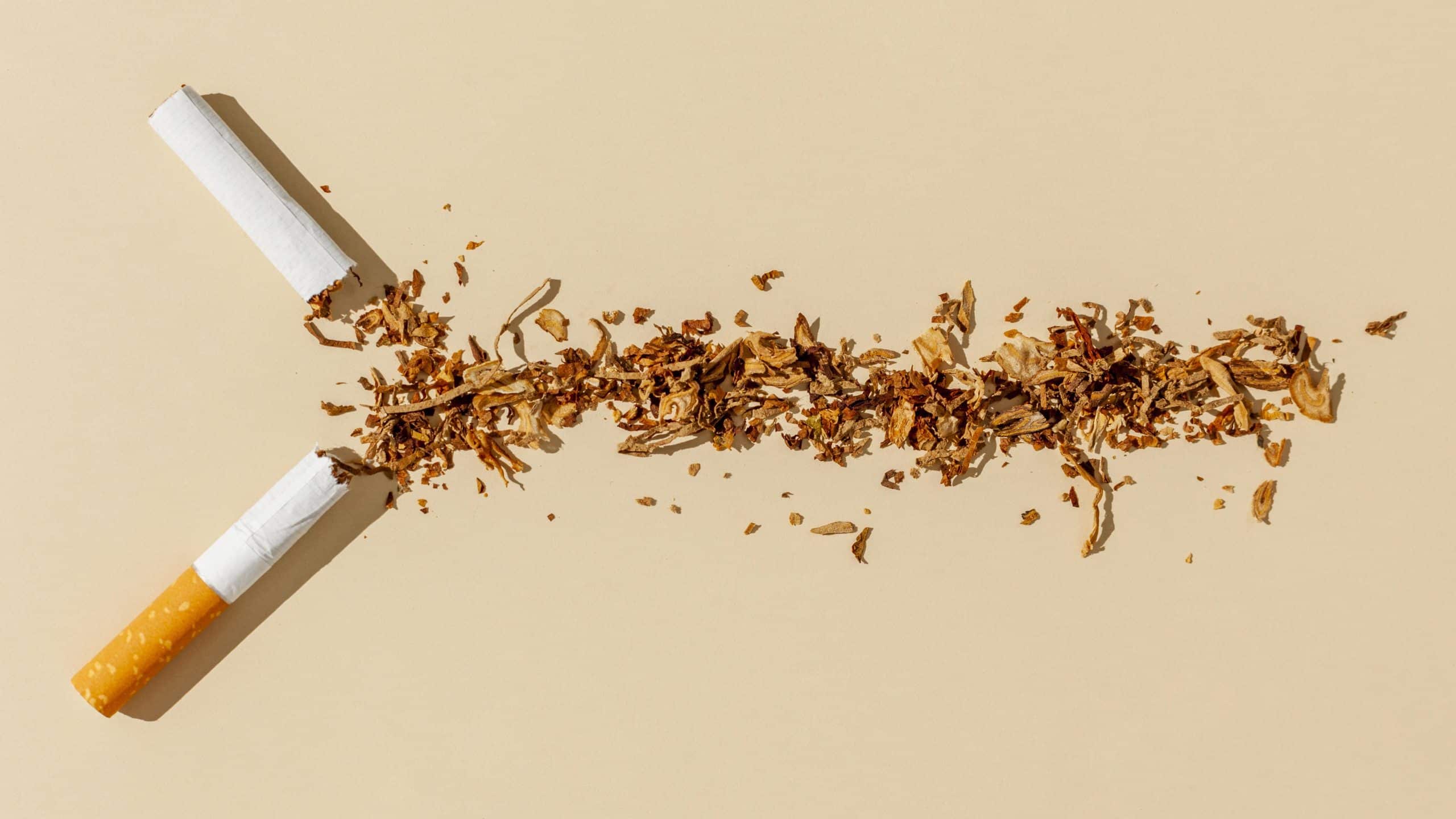 decomposition du tabac